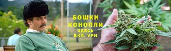 шишки Инта