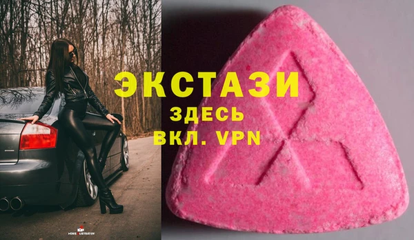 СК Алексин