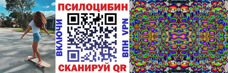 закладки  Саки  omg рабочий сайт  Псилоцибиновые грибы мицелий 